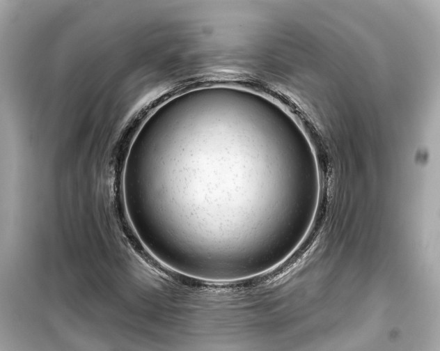 X0000099501402200805221350