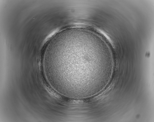X0000099501403200805221350