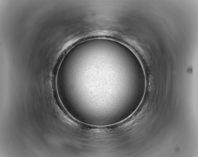 X0000099501404200805221350