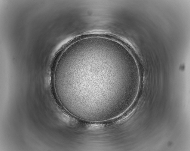 X0000099501406200805221350