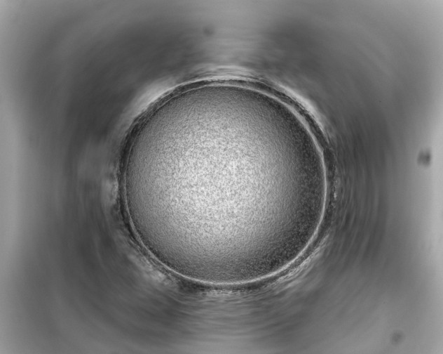 X0000099501407200805221350