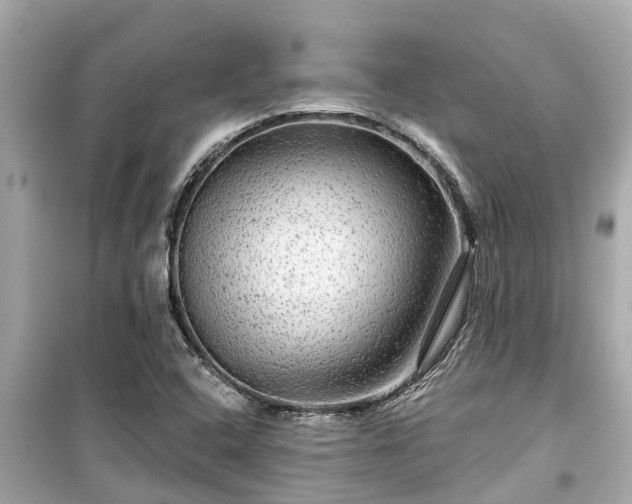 X0000099501408200805221350