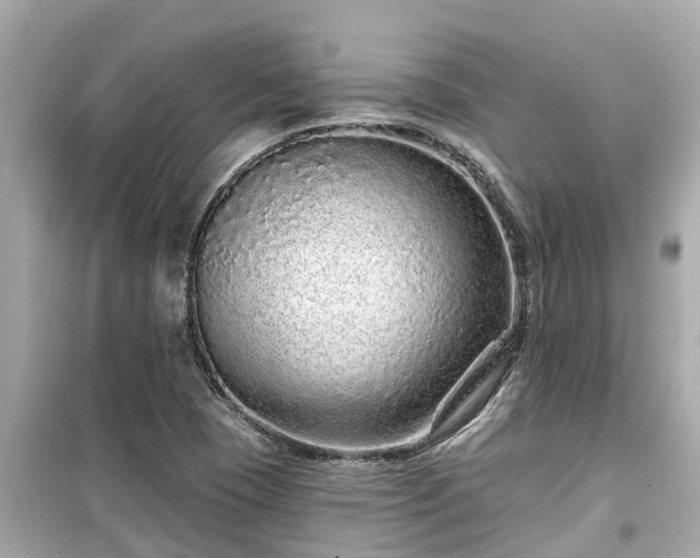 X0000099501409200805221350