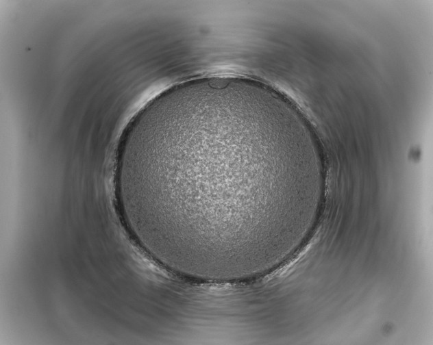 X0000099501410200805221350