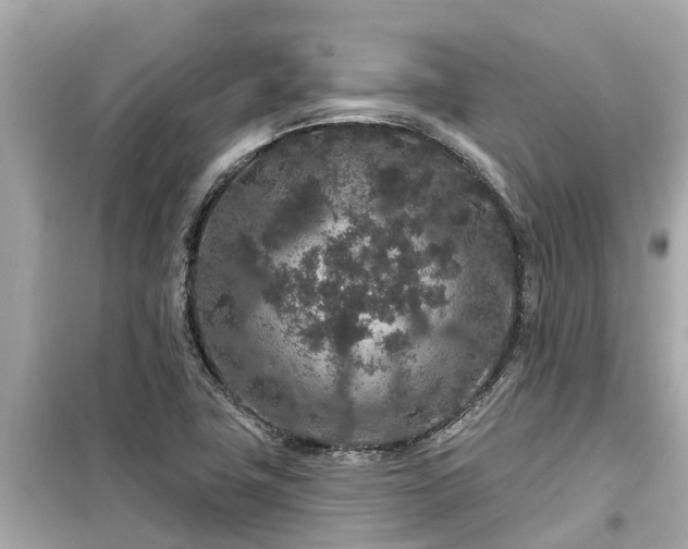 X0000099501411200805221350