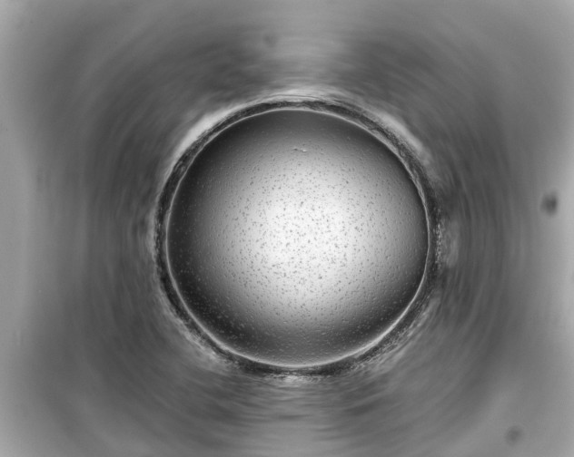 X0000099501412200805221350