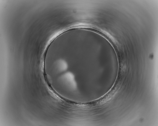 X0000099501413200805221350