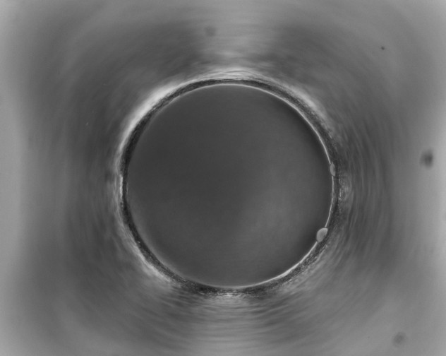 X0000099501414200805221350