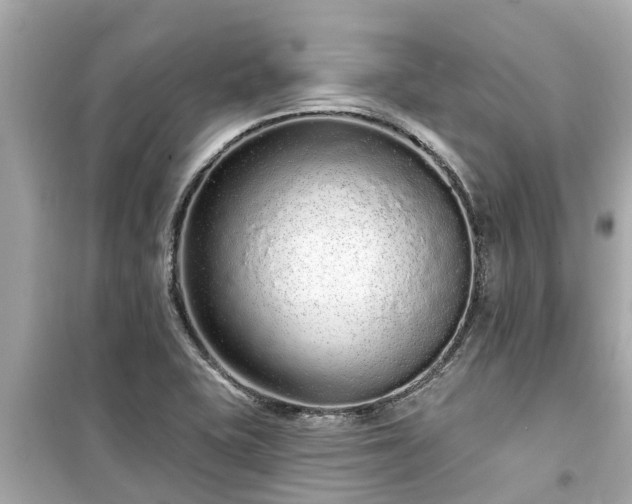 X0000099501415200805221350