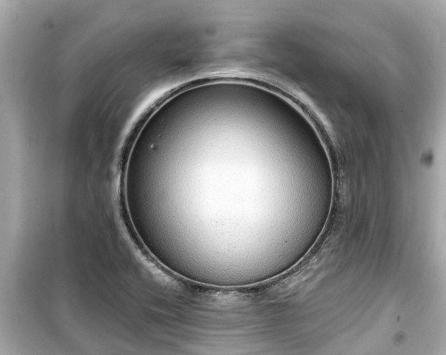 X0000099501416200805221350