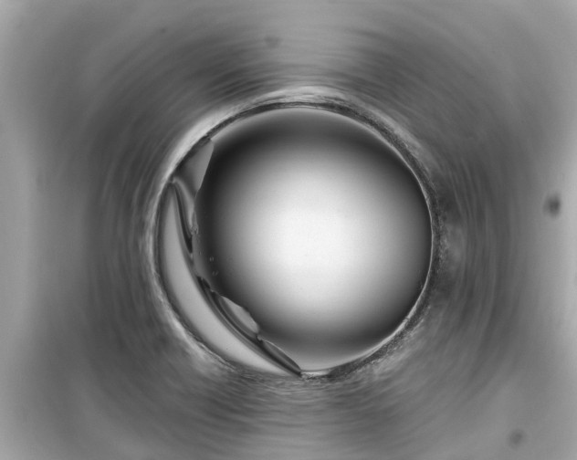 X0000099501418200805221350