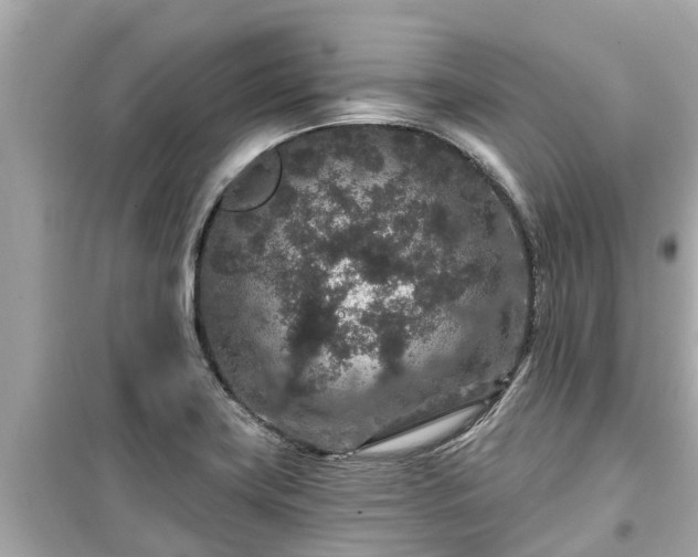X0000099501419200805221350