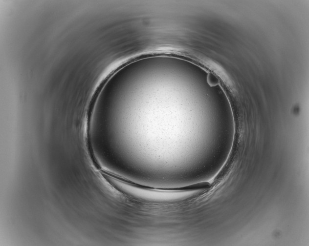 X0000099501420200805221350