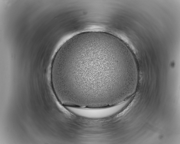X0000099501421200805221350