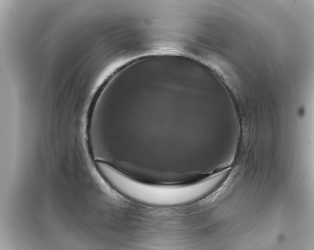 X0000099501422200805221350