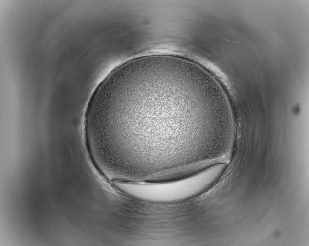 X0000099501423200805221350
