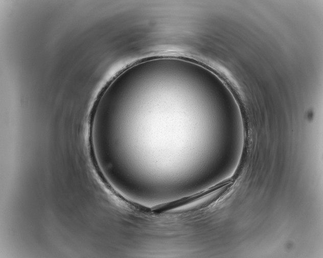 X0000099501424200805221350