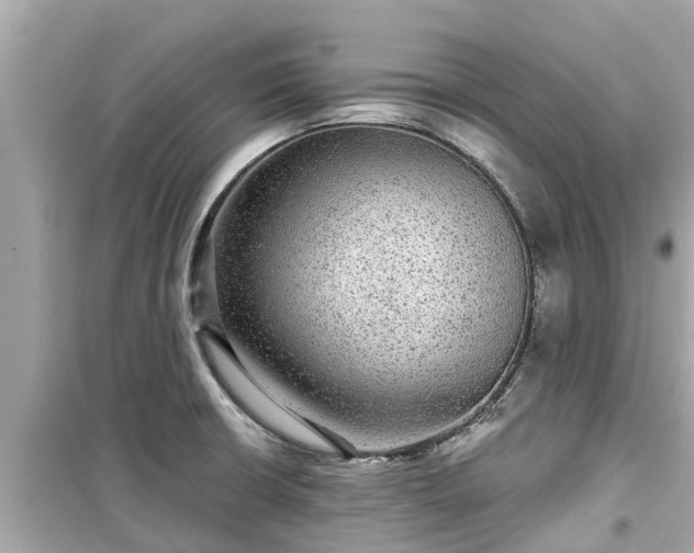 X0000099501426200805221350