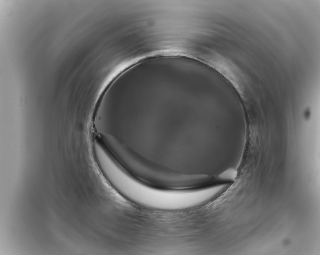 X0000099501428200805221350