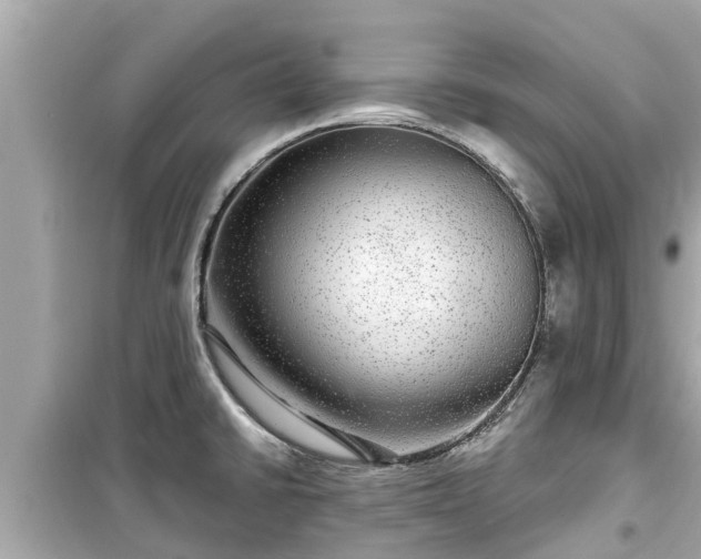 X0000099501430200805221350