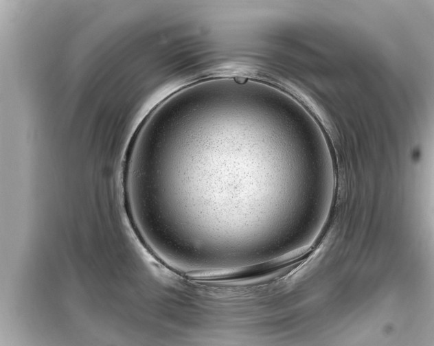 X0000099501434200805221350