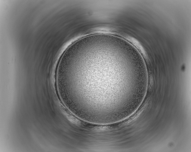 X0000099501435200805221350