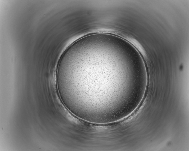 X0000099501436200805221350
