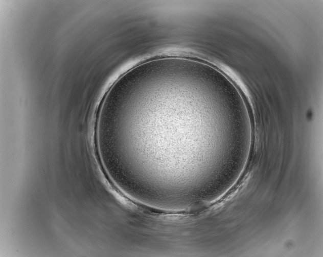 X0000099501437200805221350
