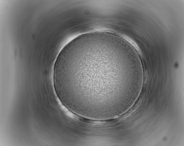 X0000099501439200805221350