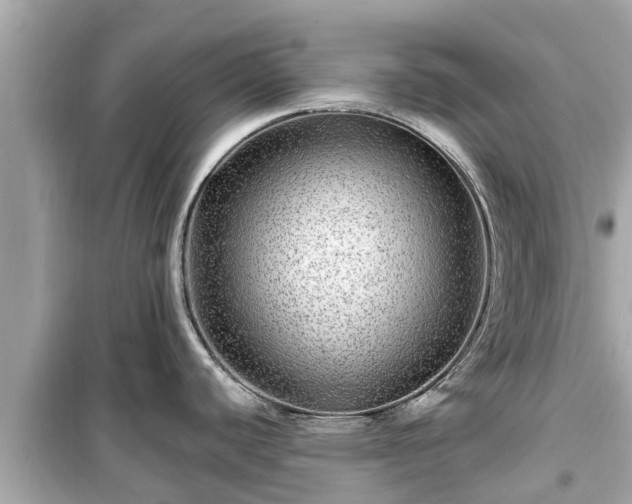 X0000099501440200805221350