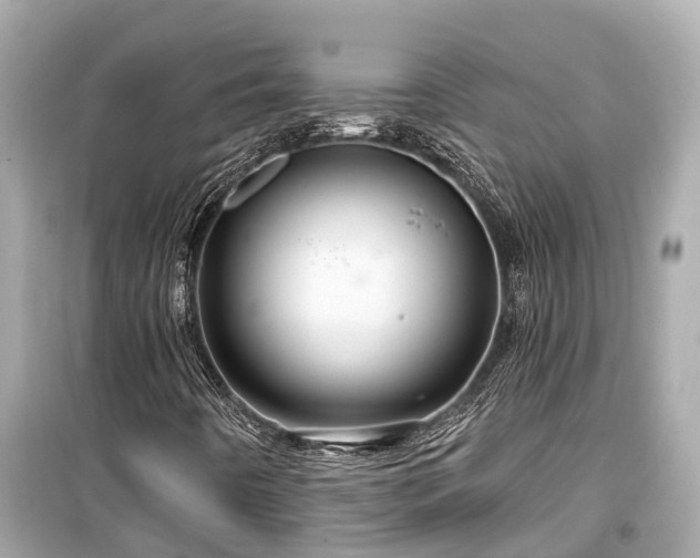 X0000099501442200805221350