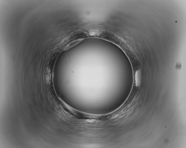 X0000099501443200805221350