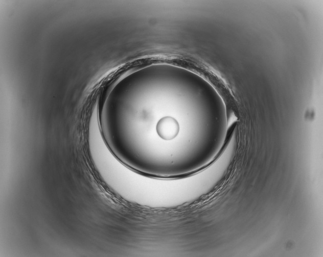 X0000099501448200805221349