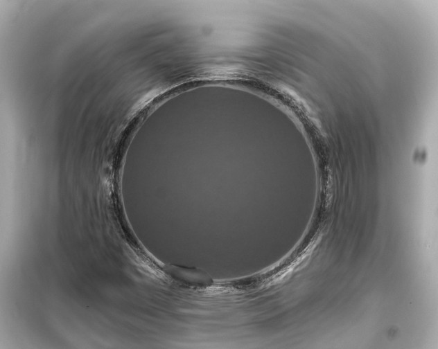 X0000099501449200805221349