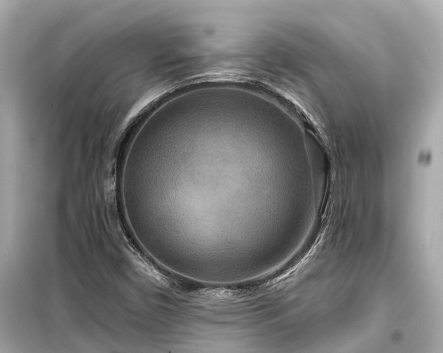 X0000099501450200805221349