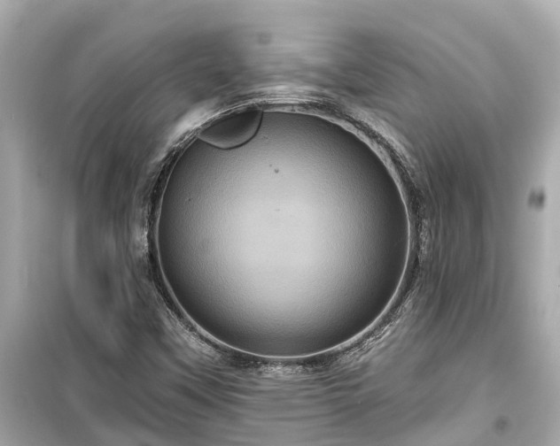 X0000099501451200805221349