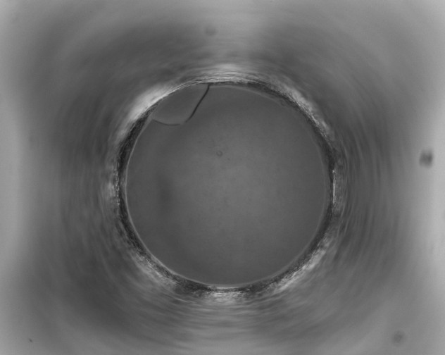 X0000099501453200805221349