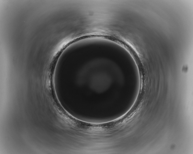 X0000099501455200805221349