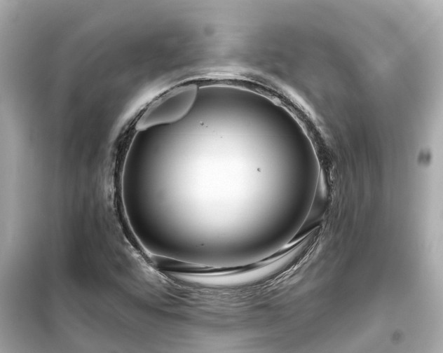 X0000099501456200805221349