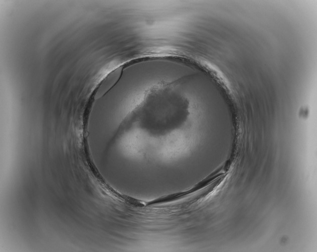 X0000099501457200805221349