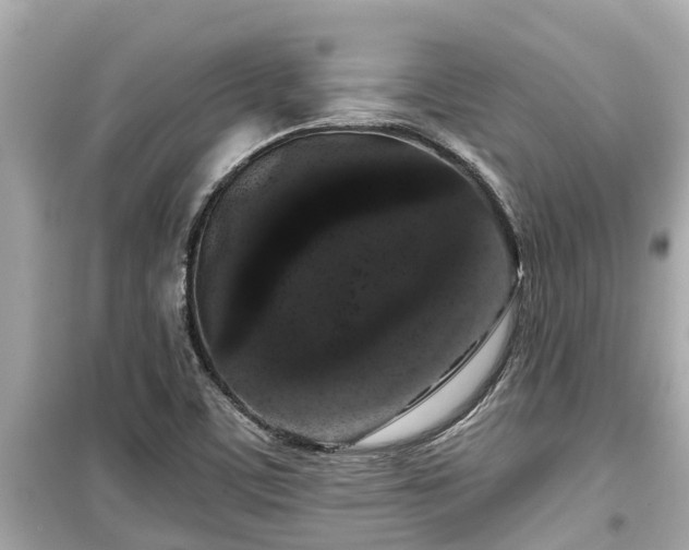 X0000099501459200805221349