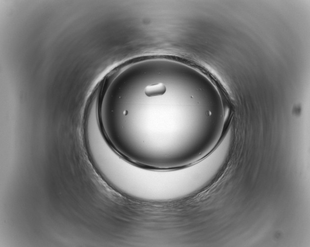X0000099501460200805221349