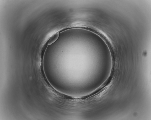 X0000099501461200805221349