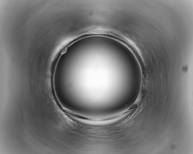 X0000099501464200805221349