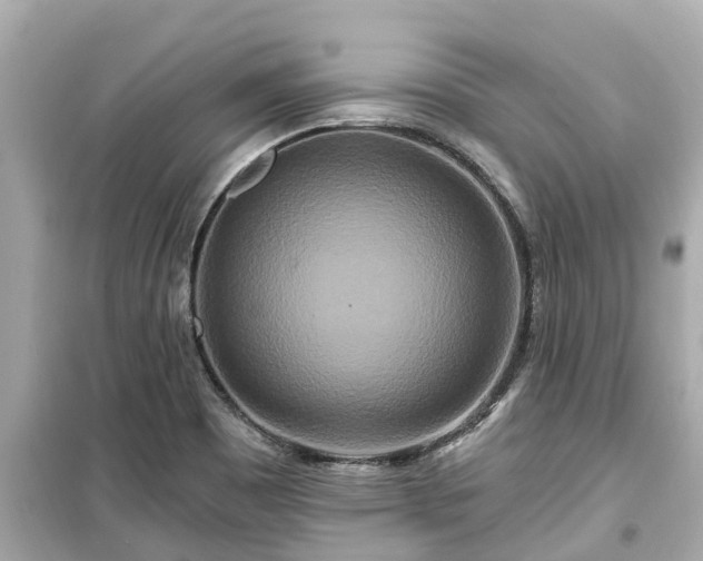 X0000099501465200805221349