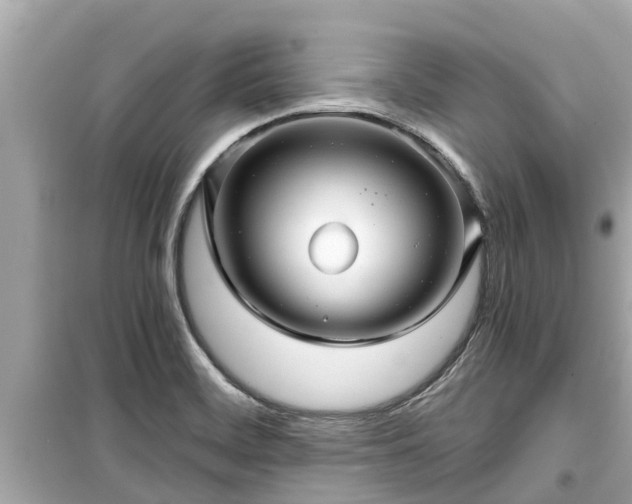 X0000099501468200805221349