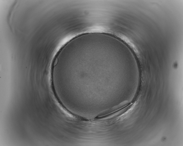 X0000099501469200805221349