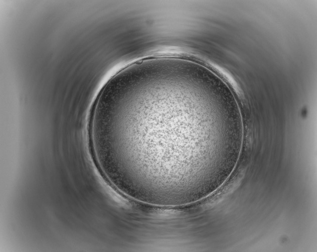 X0000099501475200805221349