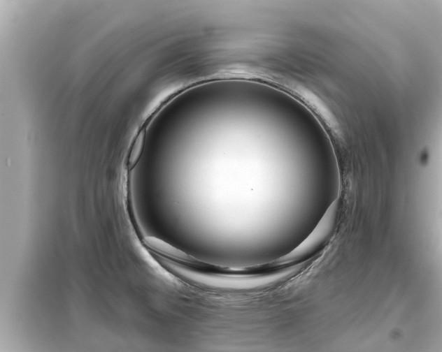 X0000099501476200805221349