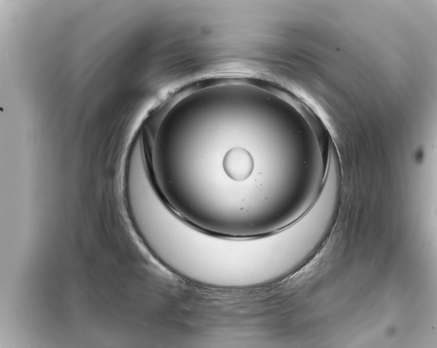 X0000099501477200805221349
